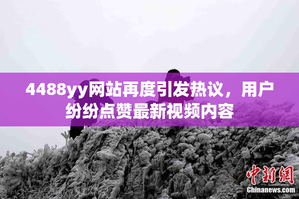 4488yy网站再度引发热议，用户纷纷点赞最新视频内容