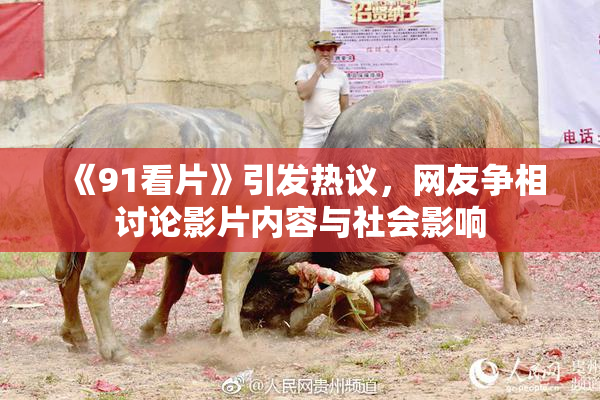 《91看片》引发热议，网友争相讨论影片内容与社会影响