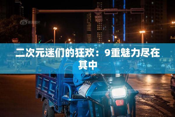 二次元迷们的狂欢：9重魅力尽在其中
