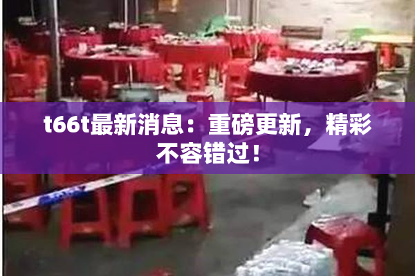 t66t最新消息：重磅更新，精彩不容错过！