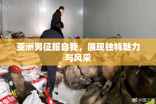 亚洲男征服自我，展现独特魅力与风采