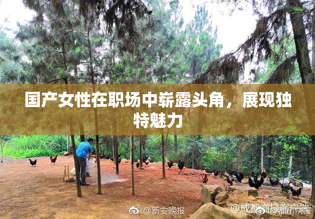 国产女性在职场中崭露头角，展现独特魅力