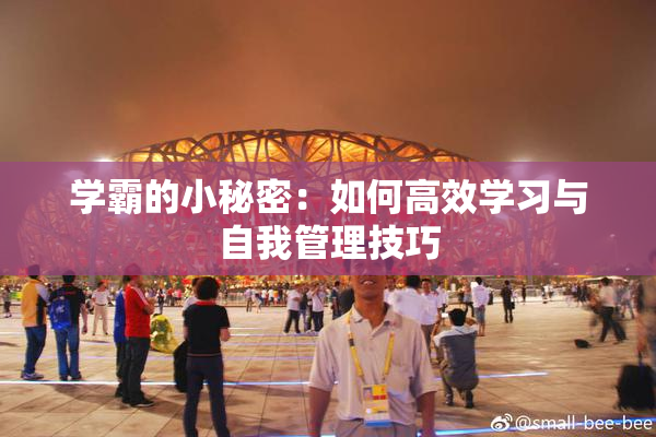 学霸的小秘密：如何高效学习与自我管理技巧
