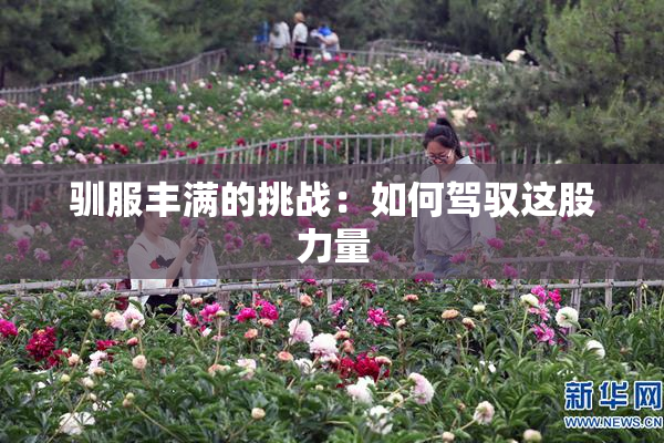 驯服丰满的挑战：如何驾驭这股力量