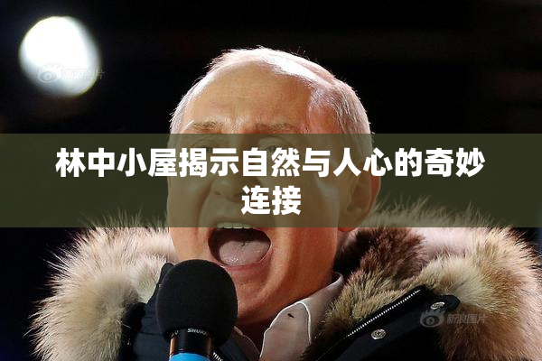 林中小屋揭示自然与人心的奇妙连接
