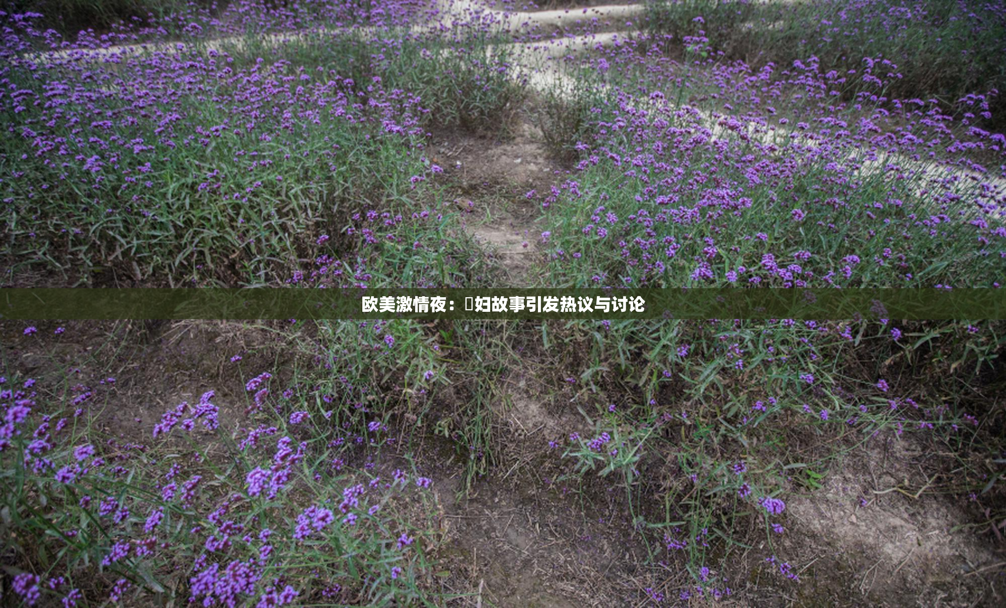 欧美激情夜：婬妇故事引发热议与讨论