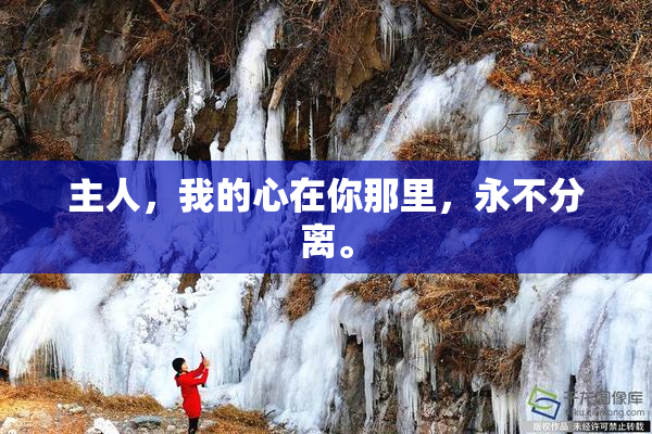主人，我的心在你那里，永不分离。