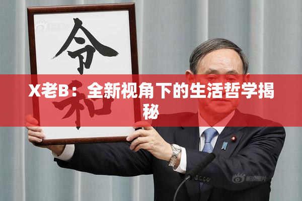 X老B：全新视角下的生活哲学揭秘