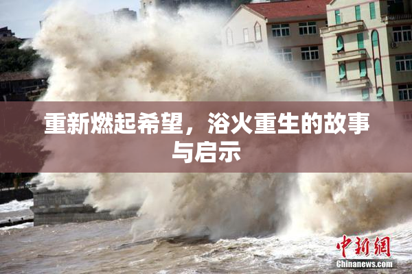 重新燃起希望，浴火重生的故事与启示