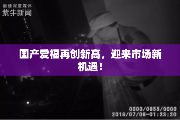 国产爱福再创新高，迎来市场新机遇！