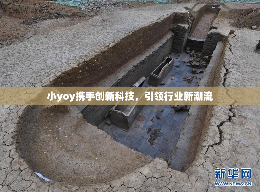 小yoy携手创新科技，引领行业新潮流