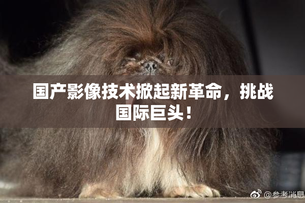 国产影像技术掀起新革命，挑战国际巨头！