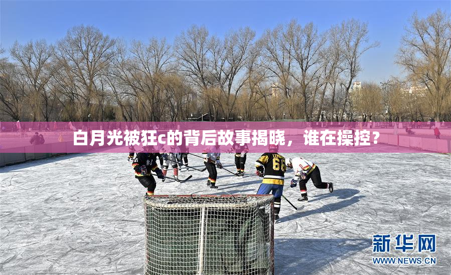 白月光被狂c的背后故事揭晓，谁在操控？