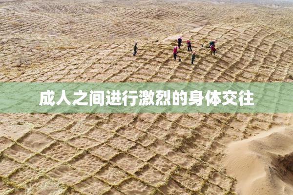 成人之间进行激烈的身体交往