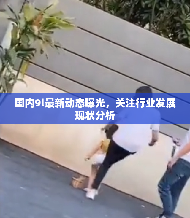 国内9l最新动态曝光，关注行业发展现状分析
