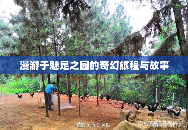 漫游于魅足之园的奇幻旅程与故事