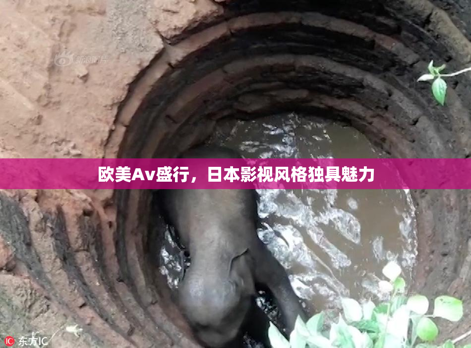 欧美Av盛行，日本影视风格独具魅力