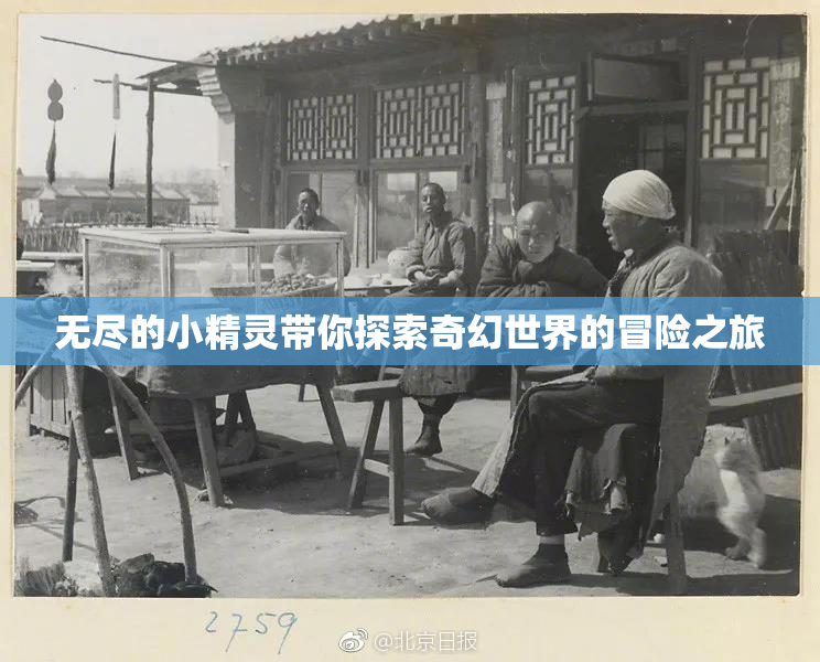 无尽的小精灵带你探索奇幻世界的冒险之旅