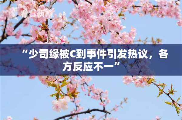 “少司缘被C到事件引发热议，各方反应不一”