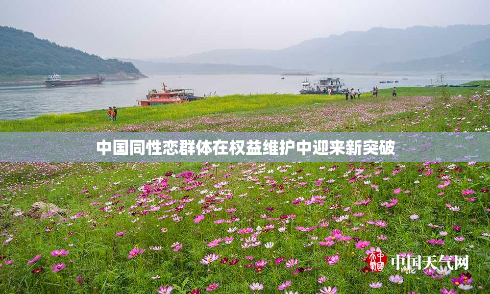 中国同性恋群体在权益维护中迎来新突破