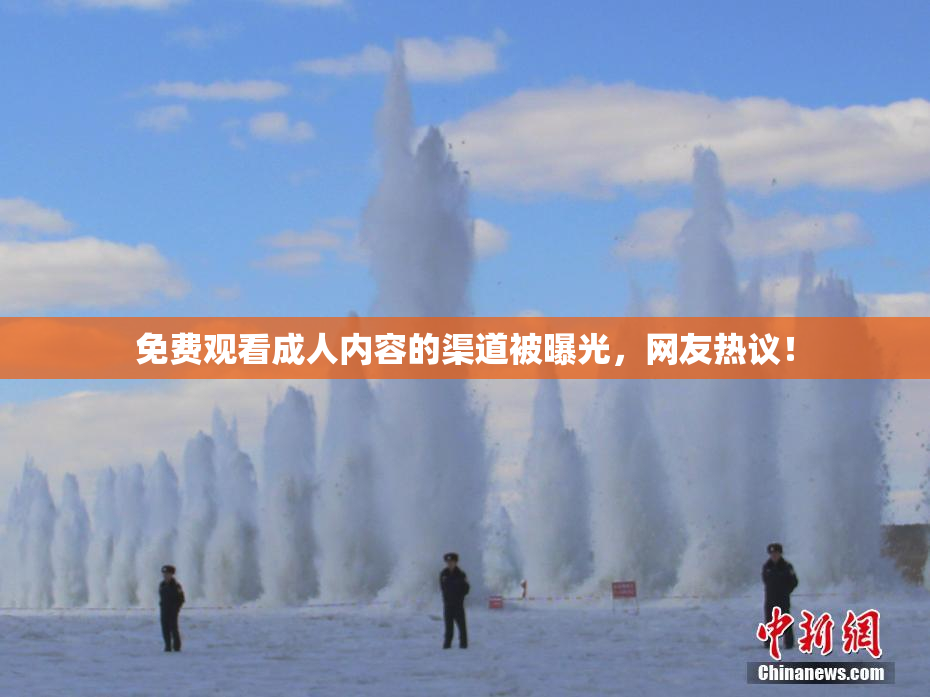免费观看成人内容的渠道被曝光，网友热议！