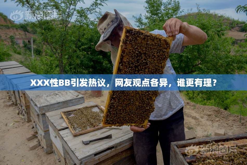 XXX性BB引发热议，网友观点各异，谁更有理？