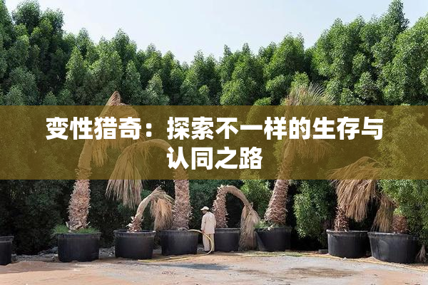 变性猎奇：探索不一样的生存与认同之路