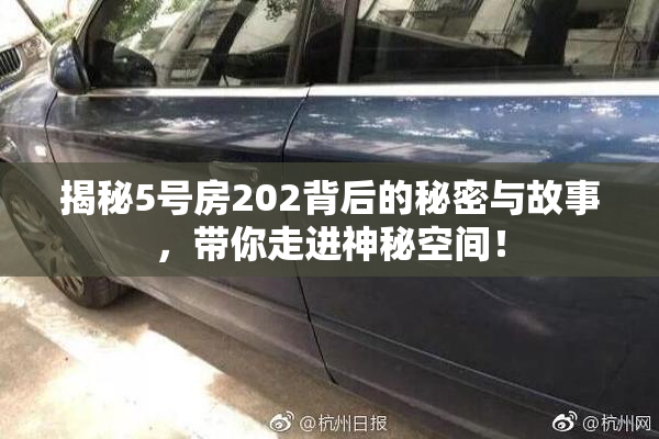 揭秘5号房202背后的秘密与故事，带你走进神秘空间！