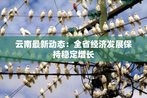 云南最新动态：全省经济发展保持稳定增长