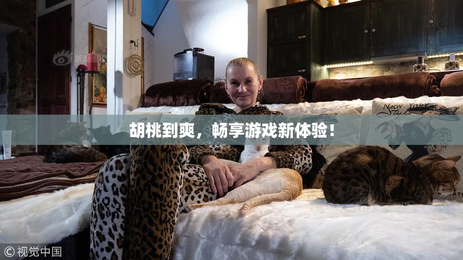 胡桃到爽，畅享游戏新体验！