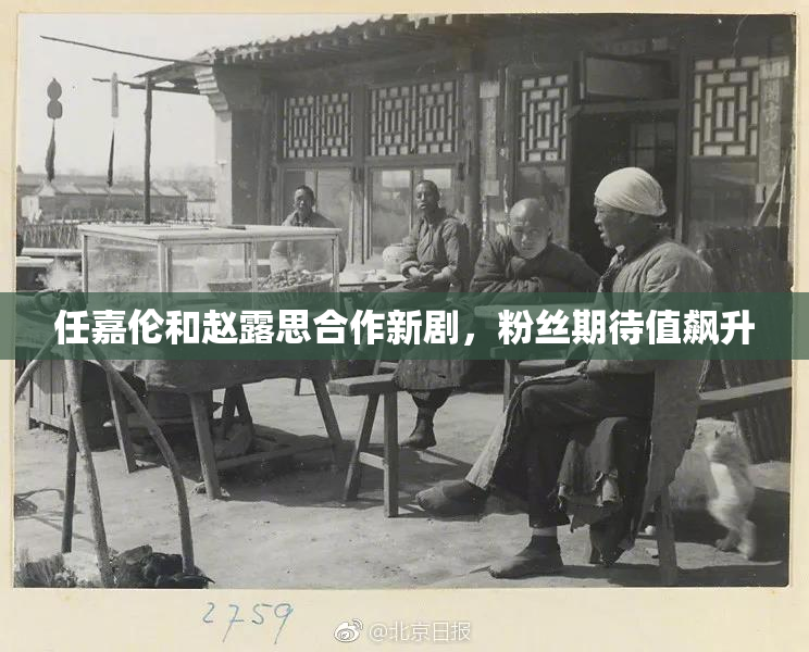 任嘉伦和赵露思合作新剧，粉丝期待值飙升