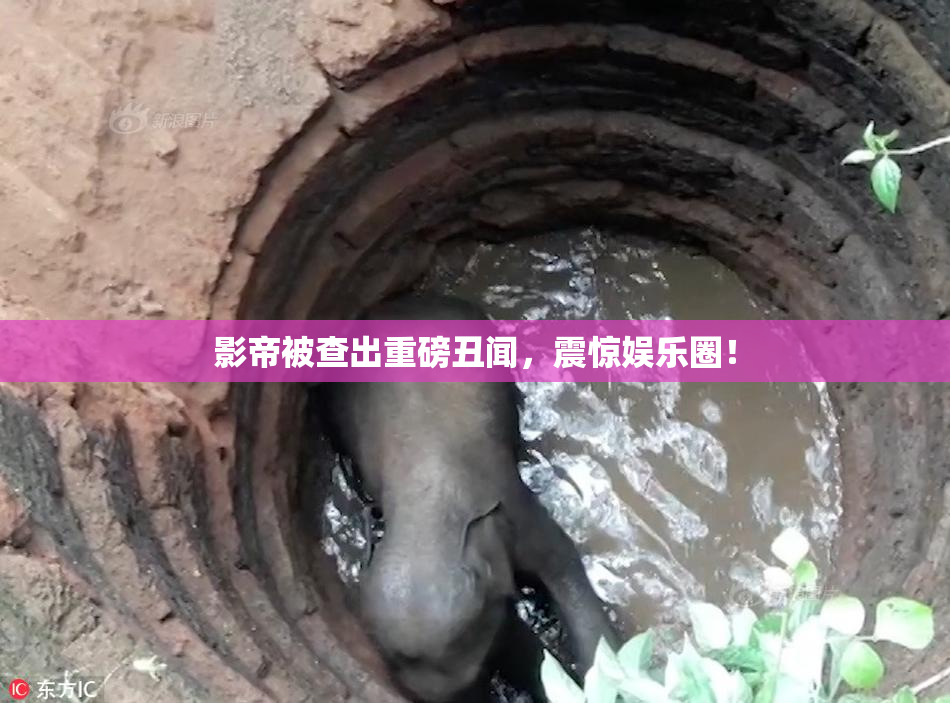 影帝被查出重磅丑闻，震惊娱乐圈！