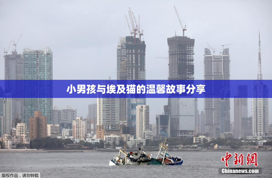 小男孩与埃及猫的温馨故事分享