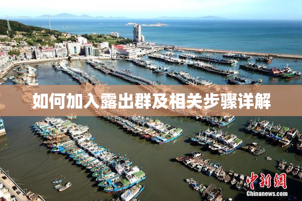 如何加入露出群及相关步骤详解