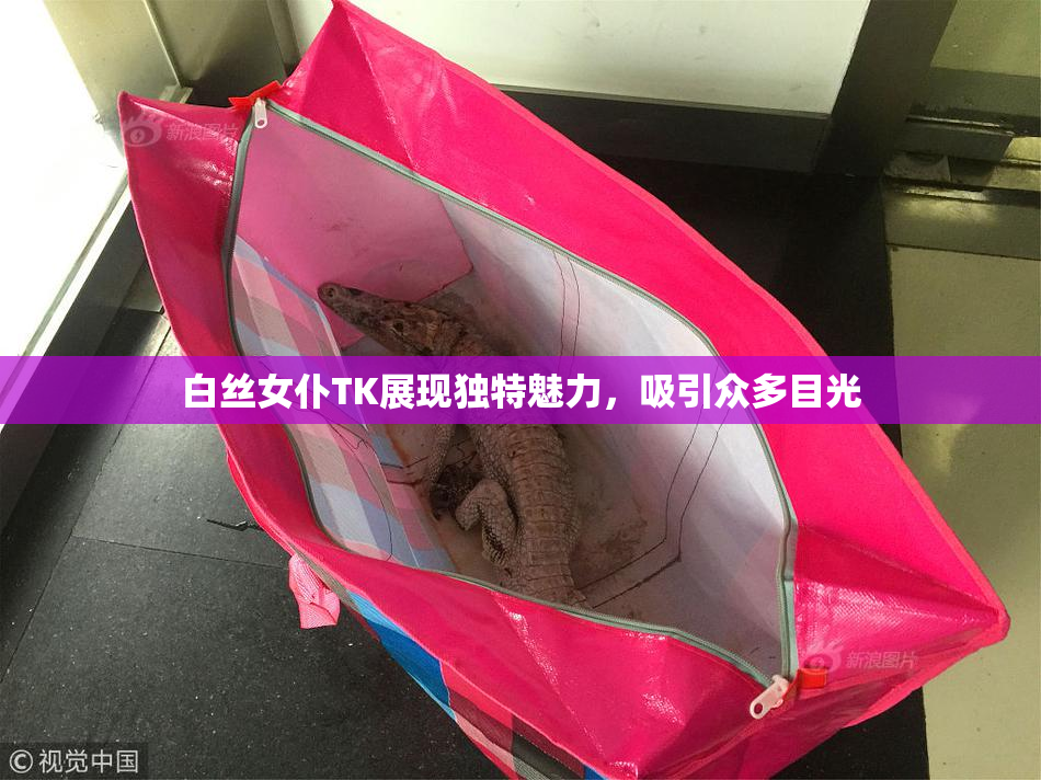白丝女仆TK展现独特魅力，吸引众多目光