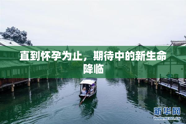 直到怀孕为止，期待中的新生命降临