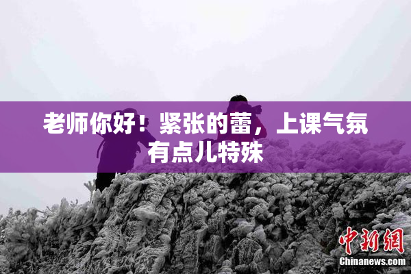 老师你好！紧张的蕾，上课气氛有点儿特殊