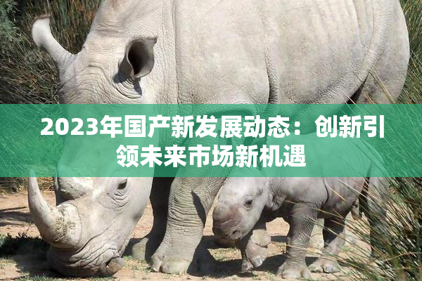 2023年国产新发展动态：创新引领未来市场新机遇