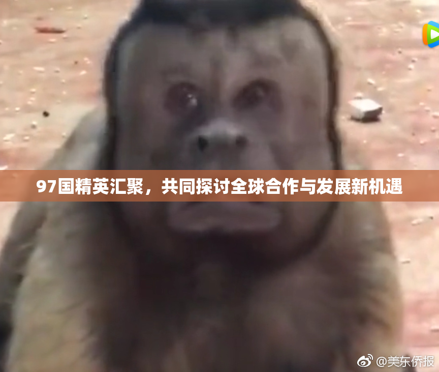 97国精英汇聚，共同探讨全球合作与发展新机遇
