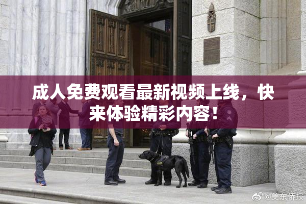 成人免费观看最新视频上线，快来体验精彩内容！
