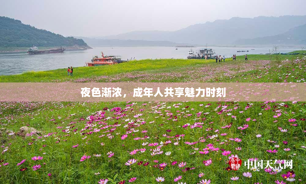 夜色渐浓，成年人共享魅力时刻