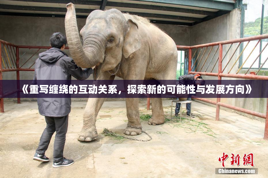 《重写缠绕的互动关系，探索新的可能性与发展方向》