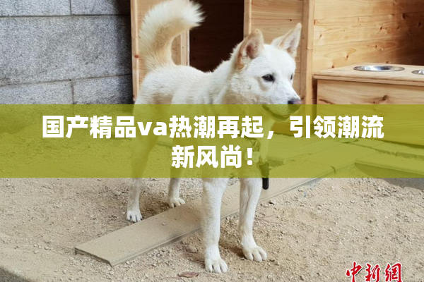 国产精品va热潮再起，引领潮流新风尚！