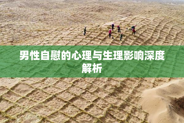 男性自慰的心理与生理影响深度解析