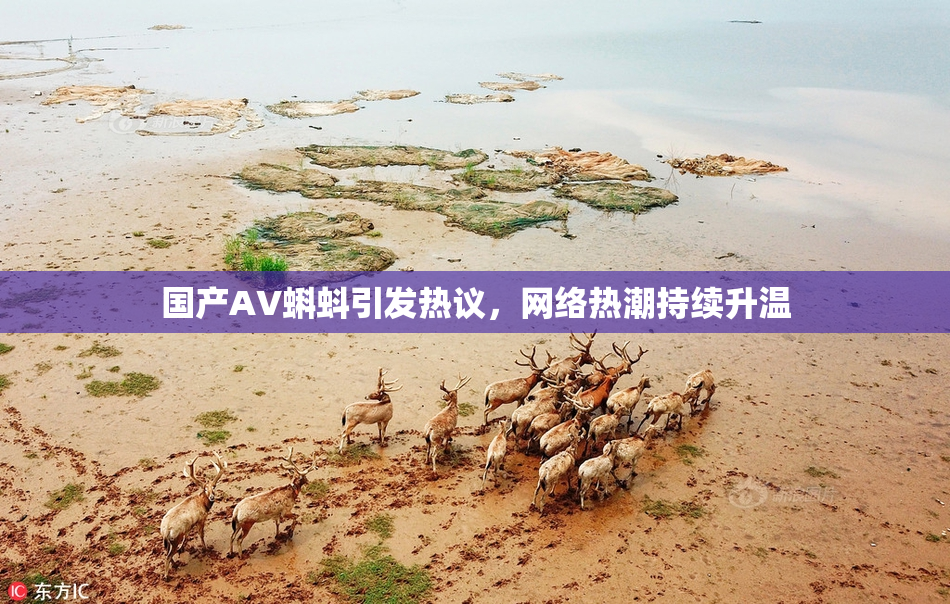 国产AV蝌蚪引发热议，网络热潮持续升温