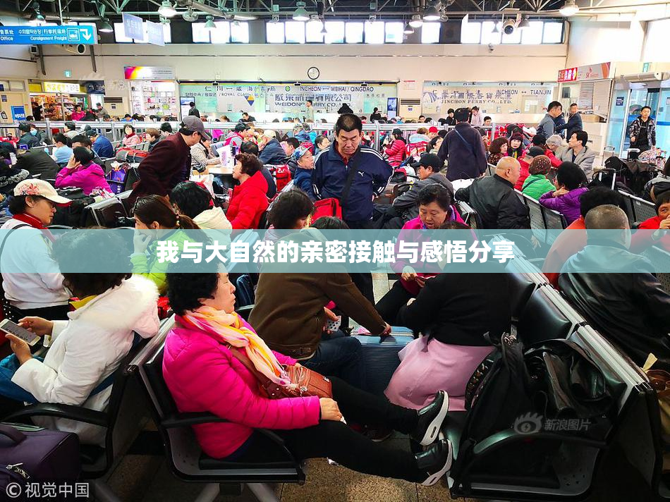 我与大自然的亲密接触与感悟分享