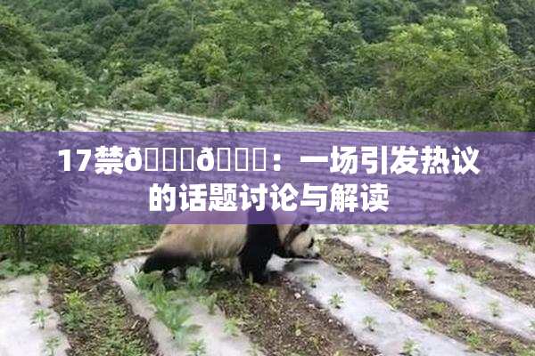 17禁🍆🍑：一场引发热议的话题讨论与解读