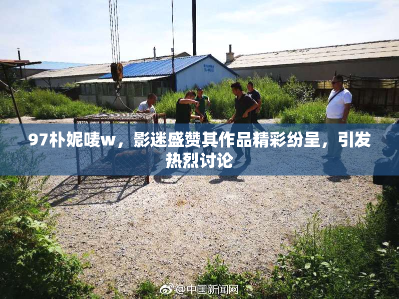 97朴妮唛w，影迷盛赞其作品精彩纷呈，引发热烈讨论