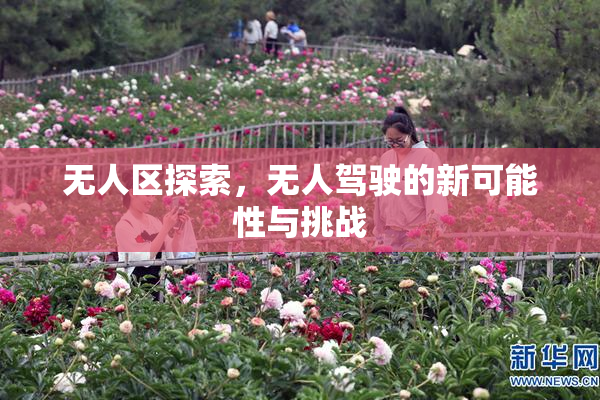 无人区探索，无人驾驶的新可能性与挑战