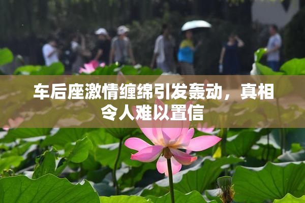 车后座激情缠绵引发轰动，真相令人难以置信